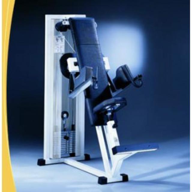 TECHNOGYM ISOTONIC LINE MASINATE KAABEL - Delts Machine